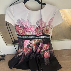Ted Baker Dress (Size 2)